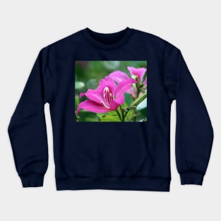 Flower Crewneck Sweatshirt